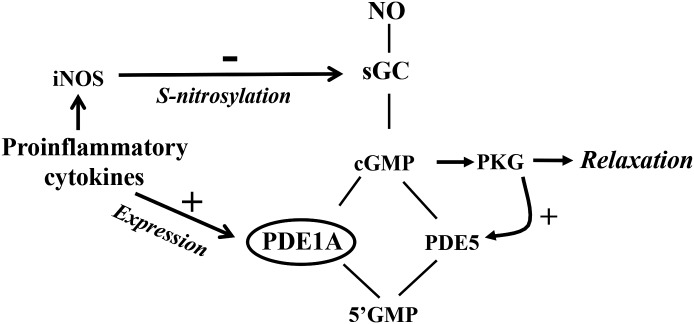 Fig. 10.