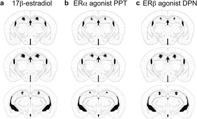 Fig. S4.