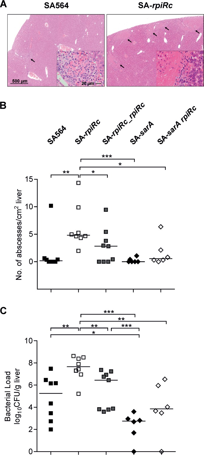 FIG 6