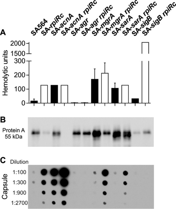 FIG 2