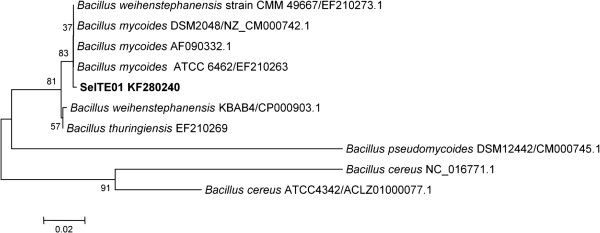 Figure 2