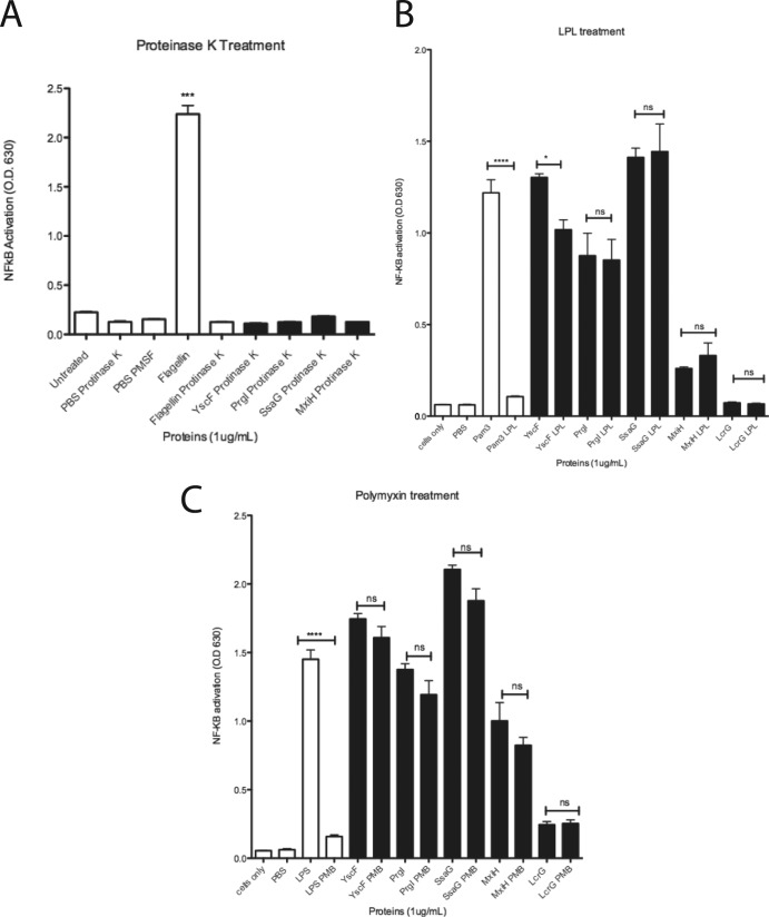 FIG 2