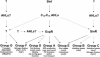 FIG. 2.