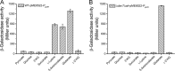 FIG 6
