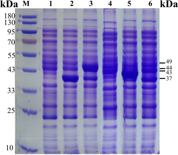 Fig. 3