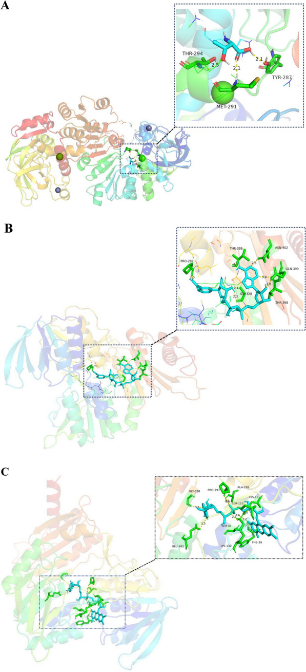 Fig. 2