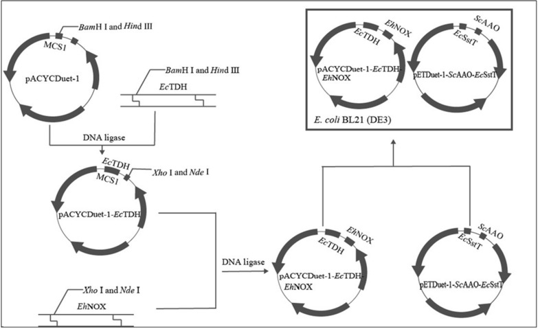 Fig. 1