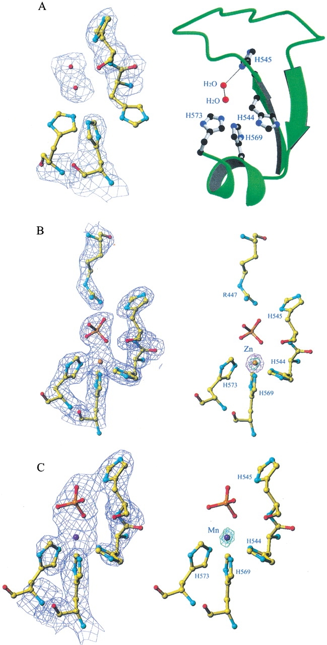 Fig. 5.