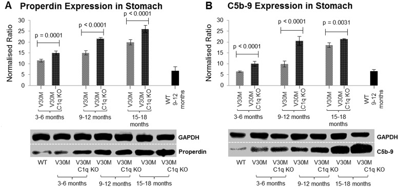 Fig 3