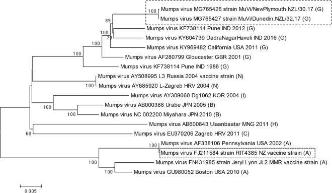 FIG 1