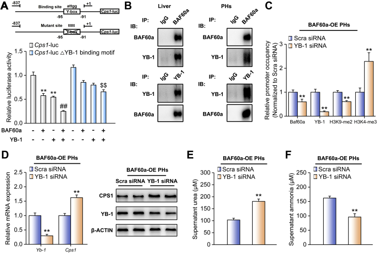 Figure 6