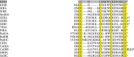 graphic file with name fx1.gif