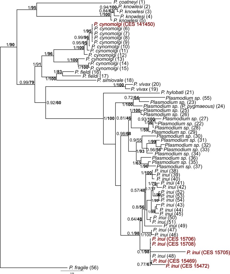 Fig 3