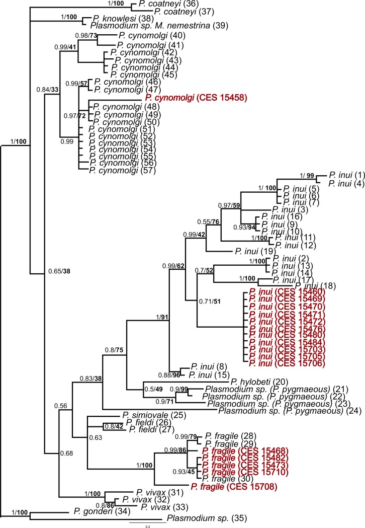 Fig 2