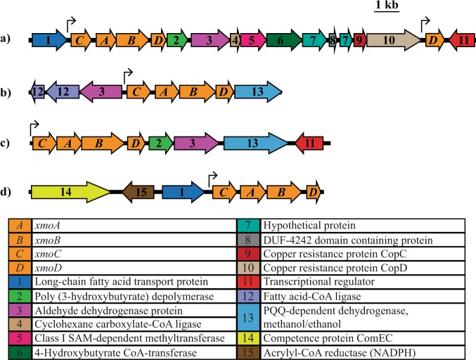 Fig. 4