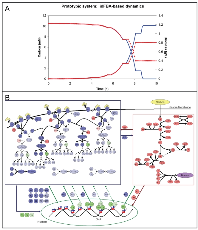 Figure 6