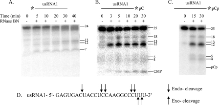 FIGURE 7.