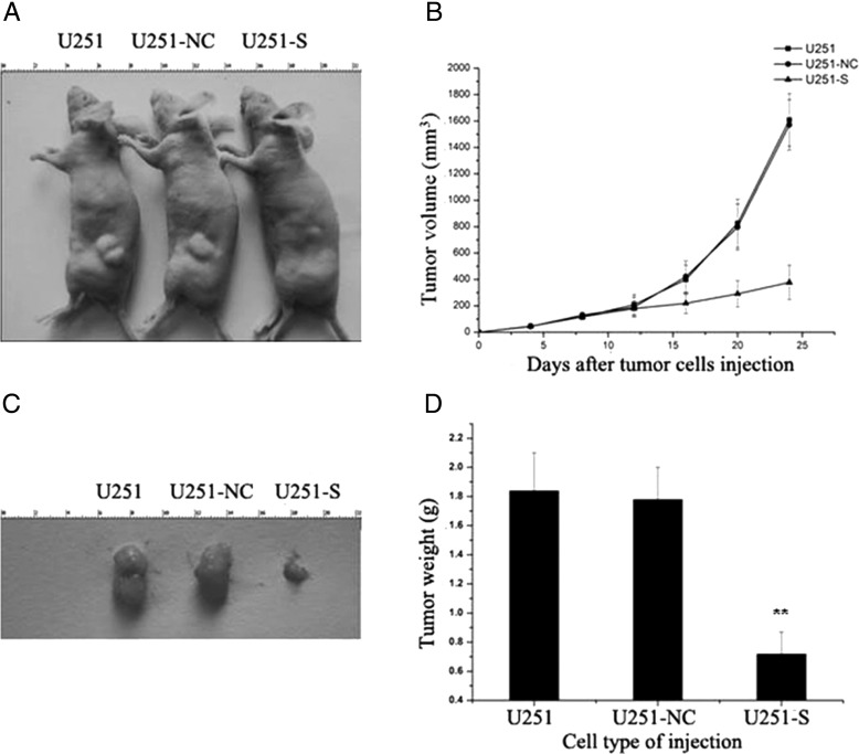 Fig. 7.