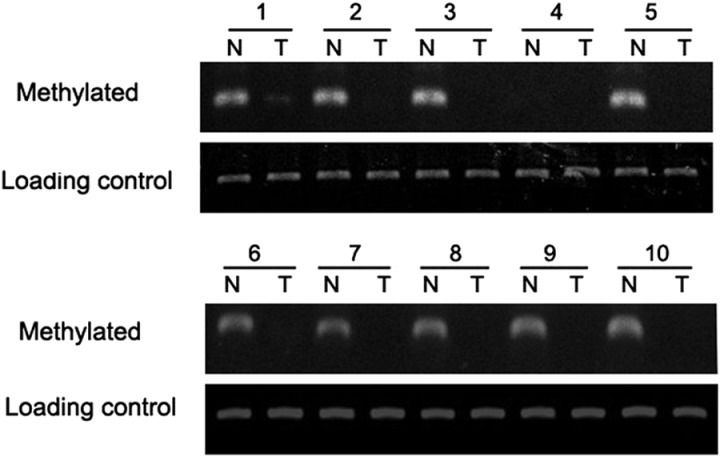 Fig. 2.