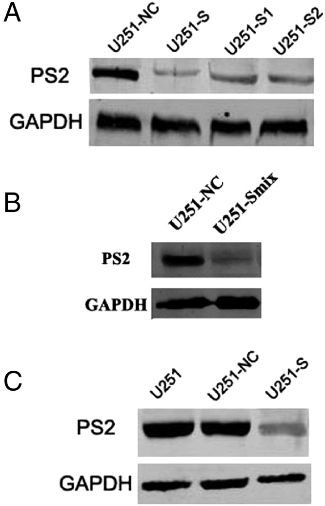 Fig. 3.