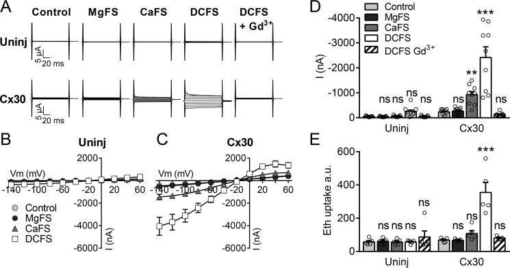 Figure 2.