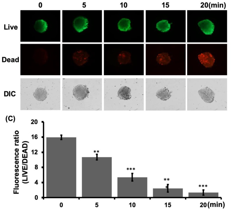 Figure 7