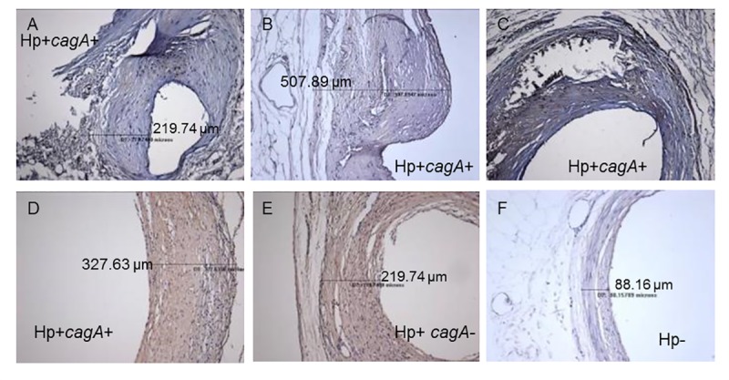 Fig 9