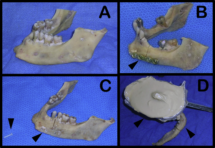 Figure 2