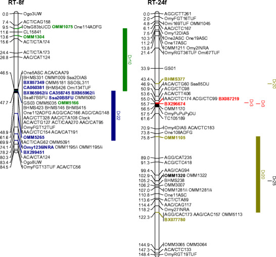 Fig. 2