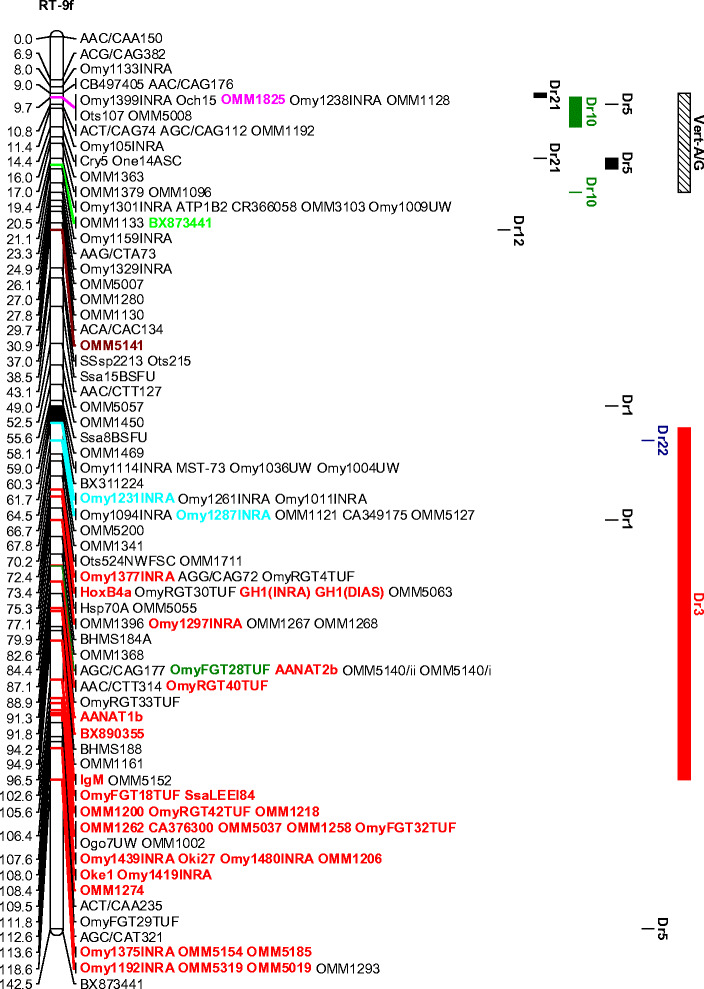 Fig. 2