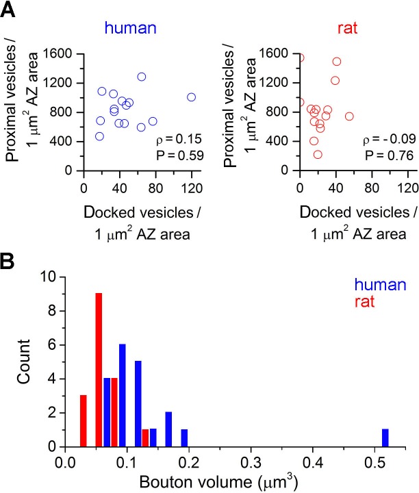 Figure 3—figure supplement 1.