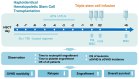 Graphical abstract