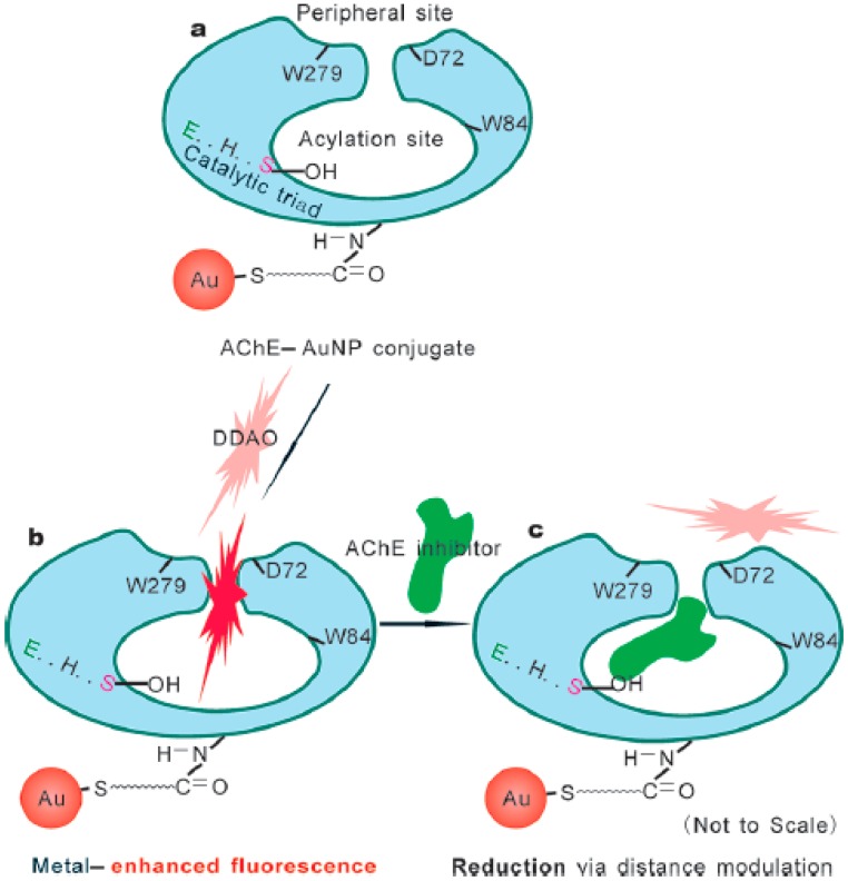 Figure 7.