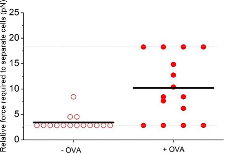 Fig 5