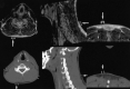 <sc>fig</sc> 1.