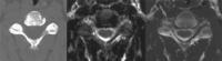 <sc>fig</sc> 5.