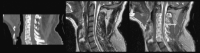 <sc>fig</sc> 6.