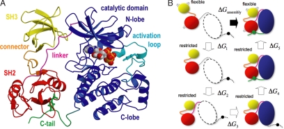 Fig. 1.