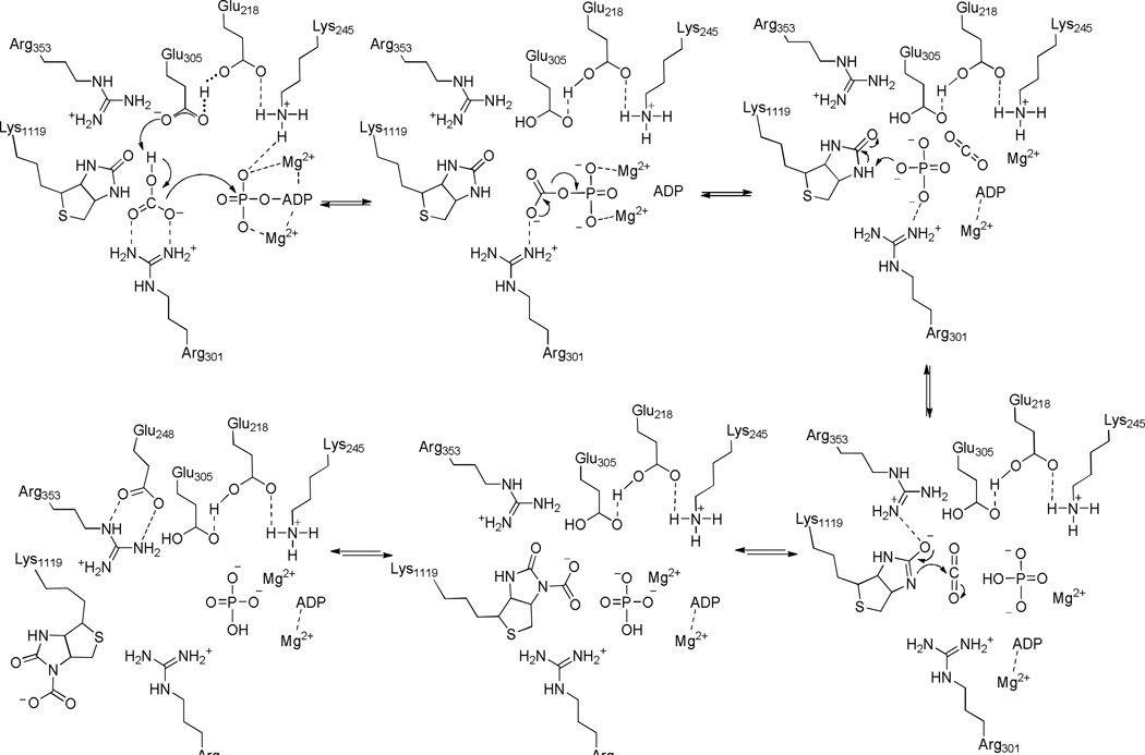 Scheme 2