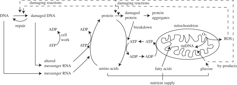 Figure 7.