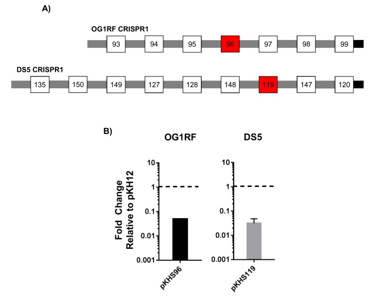 Figure 1—figure supplement 2.