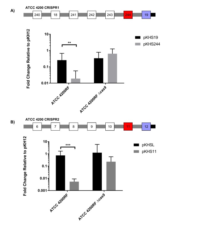 Figure 2—figure supplement 3.