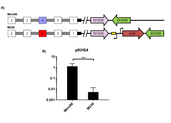 Figure 2—figure supplement 1.