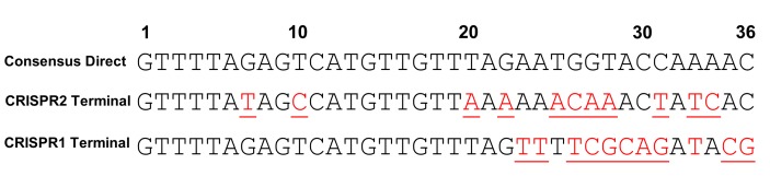 Figure 2—figure supplement 2.