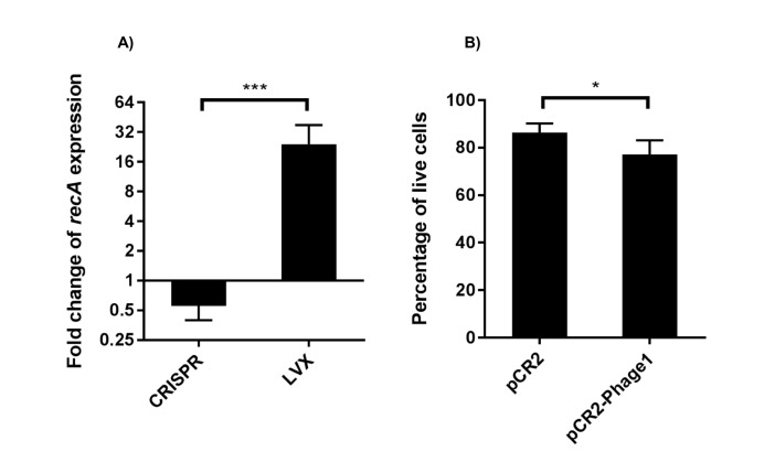 Figure 7—figure supplement 1.