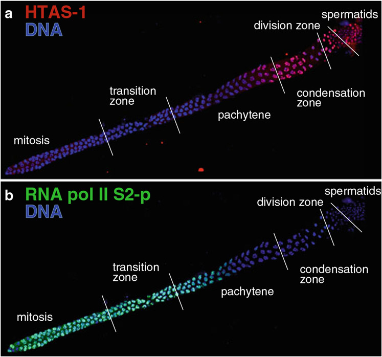 Fig. 7.3