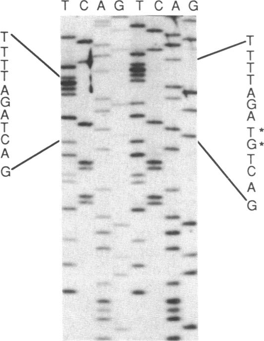 graphic file with name pnas00246-0189-d.jpg