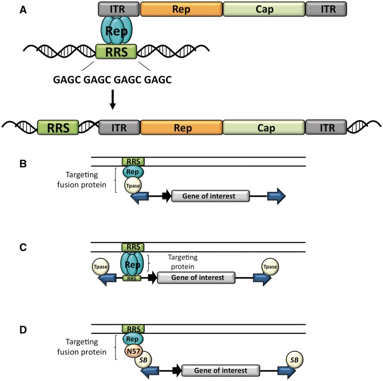 Figure 1.