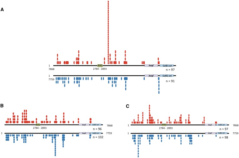 Figure 6.