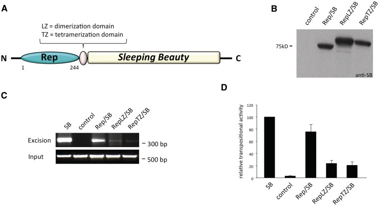 Figure 3.